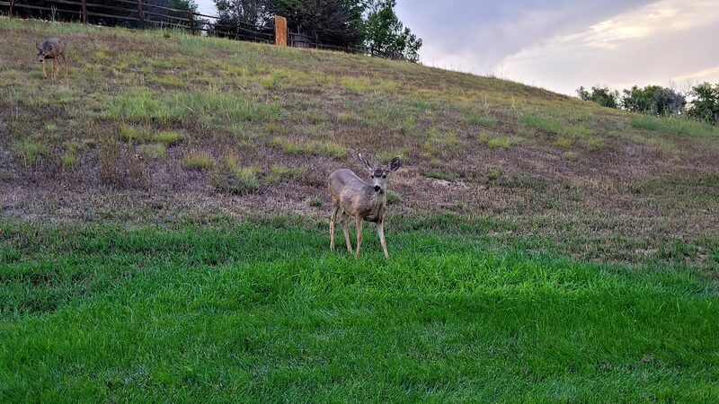 Deer Trail Park - Parker, CO