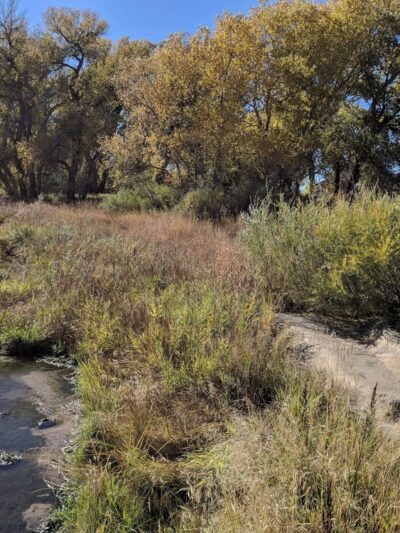 Deer Trail Park - Parker, CO