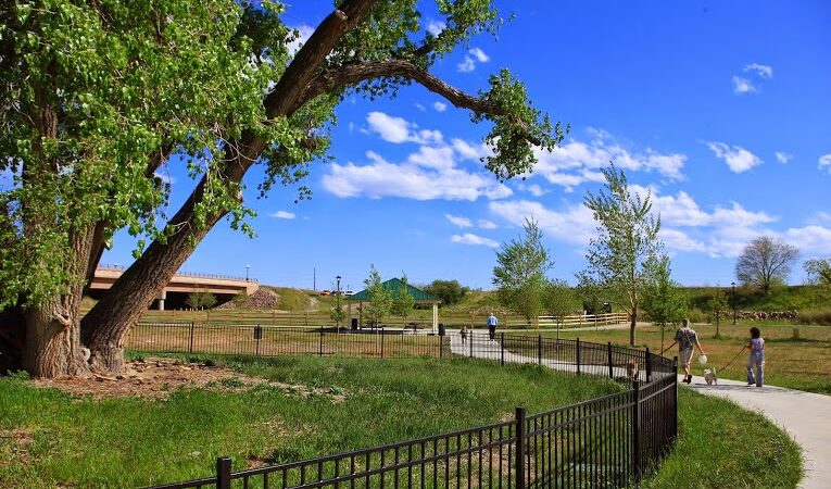 Bar CCC Park - Parker, CO