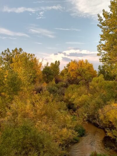 Bar CCC Park - Parker, CO