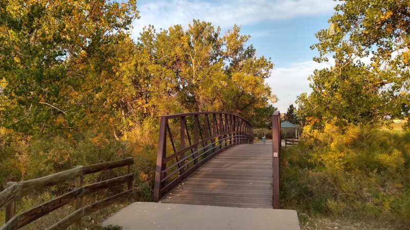 Bar CCC Park - Parker, CO