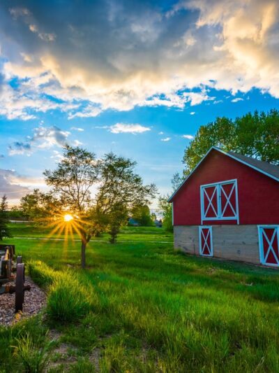 Iron Horse Park - Parker, CO