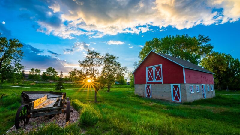 Iron Horse Park - Parker, CO
