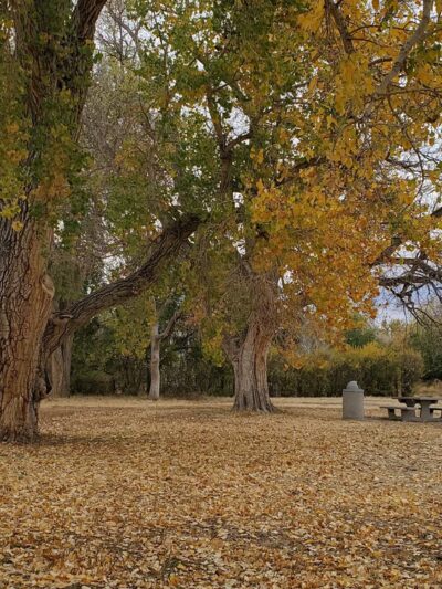 Iron Horse Park - Parker, CO