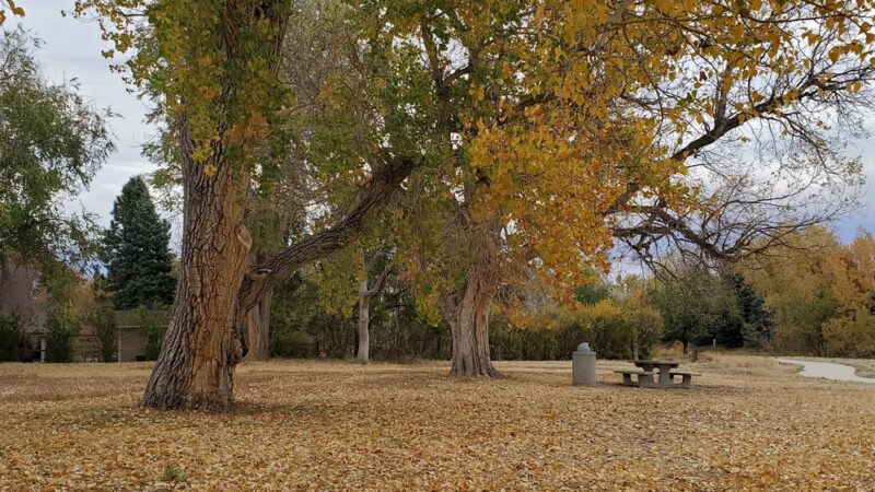Iron Horse Park - Parker, CO