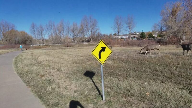 Riva Ridge Parks - Parker, CO