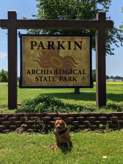 Parkin Archeological State Park - Parkin, AR