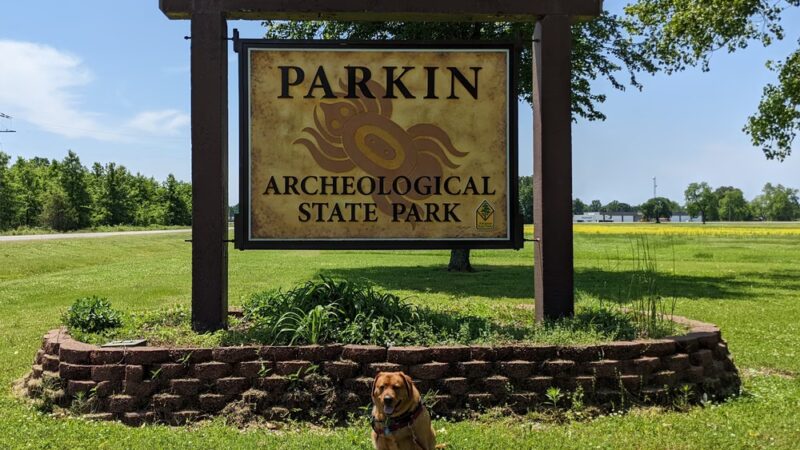 Parkin Archeological State Park - Parkin, AR