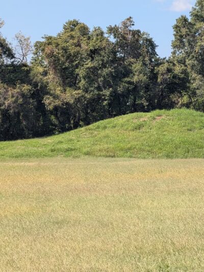Parkin Archeological State Park - Parkin, AR