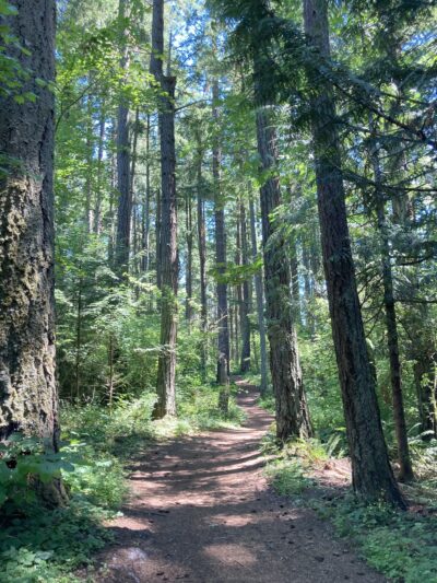 Bresemann Forest - Parkland, WA