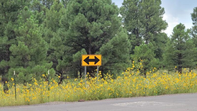 Parks - Parks, AZ