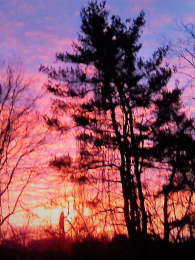 Balder Ave Park - Parkville, MD