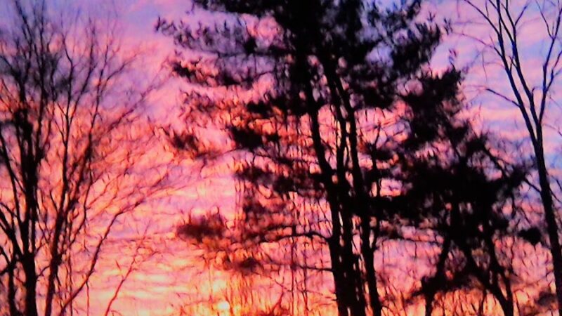 Balder Ave Park - Parkville, MD