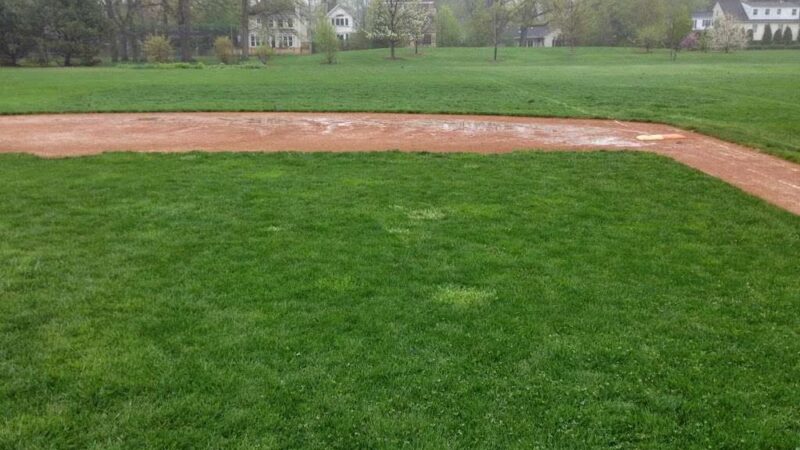 Balder Ave Park - Parkville, MD