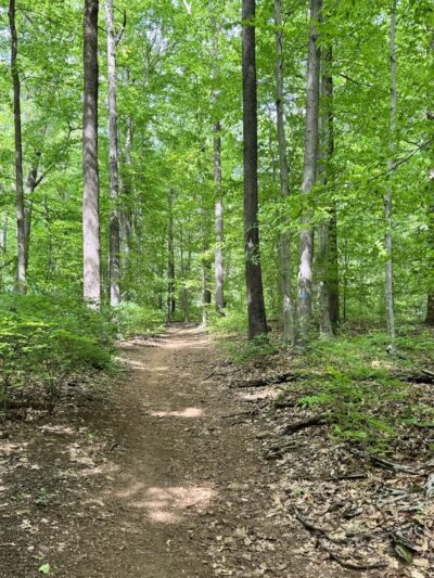 Double Rock Park - Parkville, MD