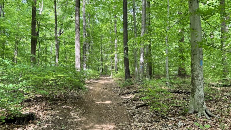 Double Rock Park - Parkville, MD