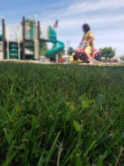 Woodcroft Park - Parkville, MD