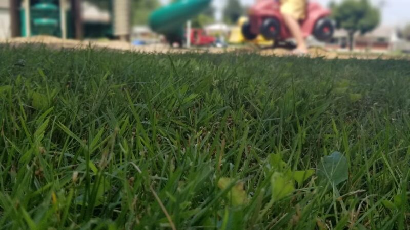 Woodcroft Park - Parkville, MD