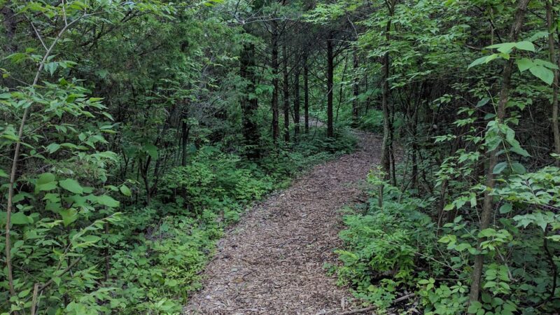 Green Hills of Platte Wildlife Preserve - Parkville, MO