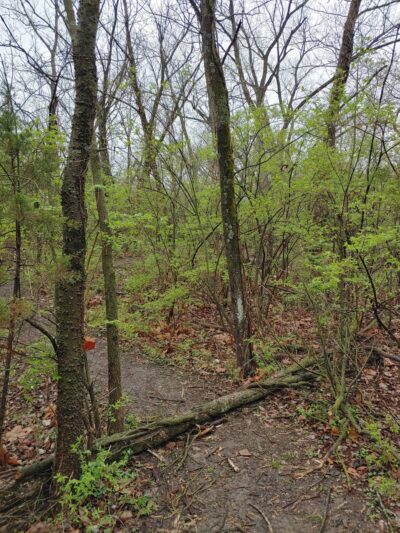 Green Hills of Platte Wildlife Preserve - Parkville, MO
