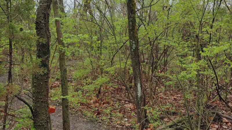 Green Hills of Platte Wildlife Preserve - Parkville, MO