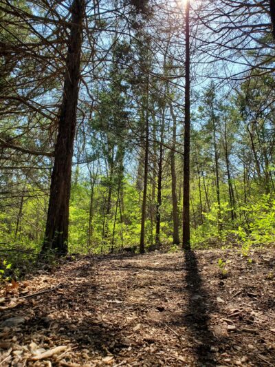 Green Hills of Platte Wildlife Preserve - Parkville, MO