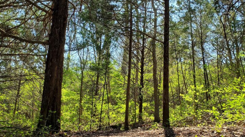 Green Hills of Platte Wildlife Preserve - Parkville, MO