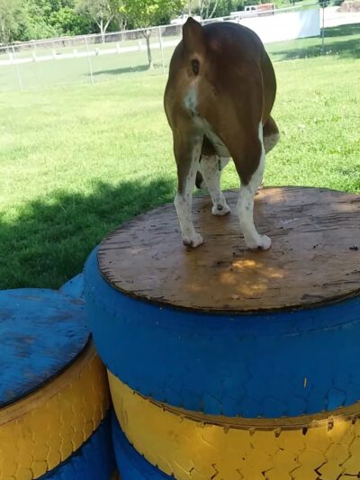 Marvel Park - Parsons, KS