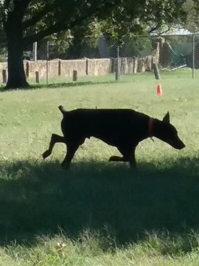 Parsons Football Field - Parsons, KS