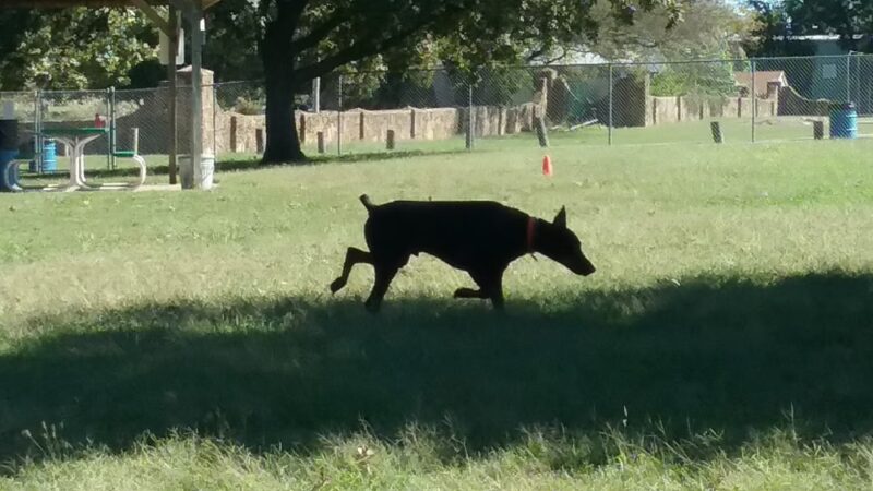 Parsons Football Field - Parsons, KS