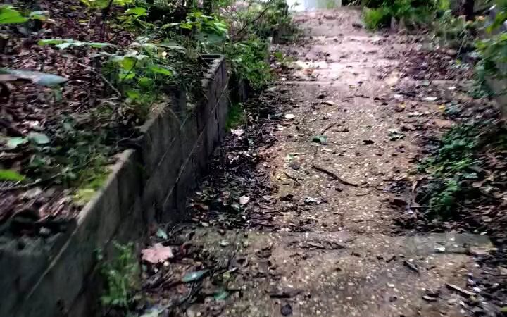 Beachwood Park - Pasadena, MD