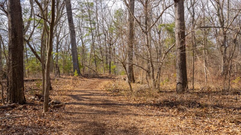 Beachwood Park - Pasadena, MD