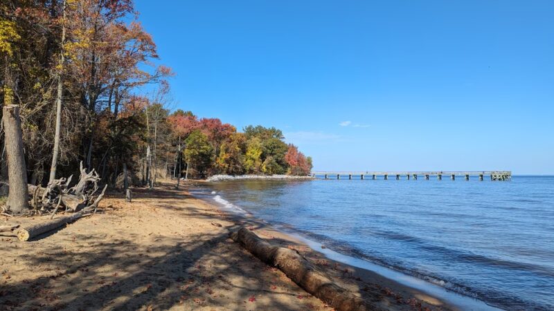 Downs Park - Pasadena, MD