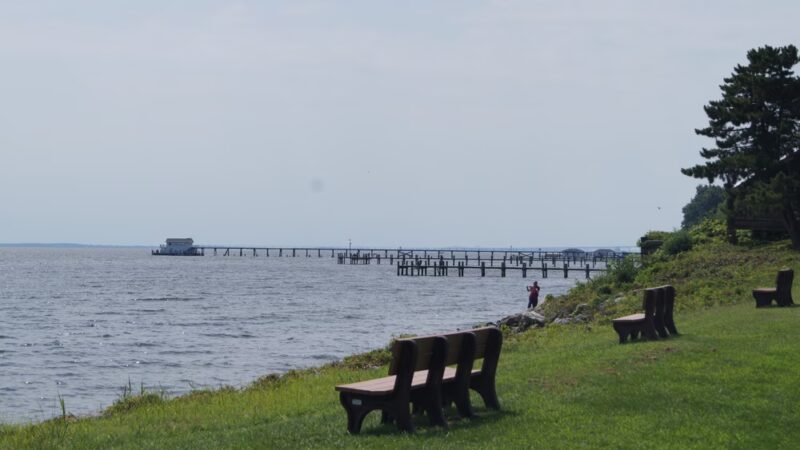 Downs Park - Pasadena, MD