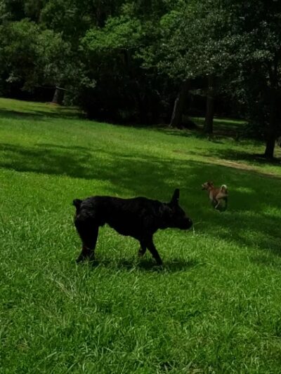 Keith's Park - Pascagoula, MS