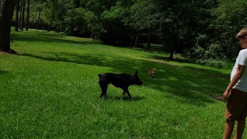Keith's Park - Pascagoula, MS