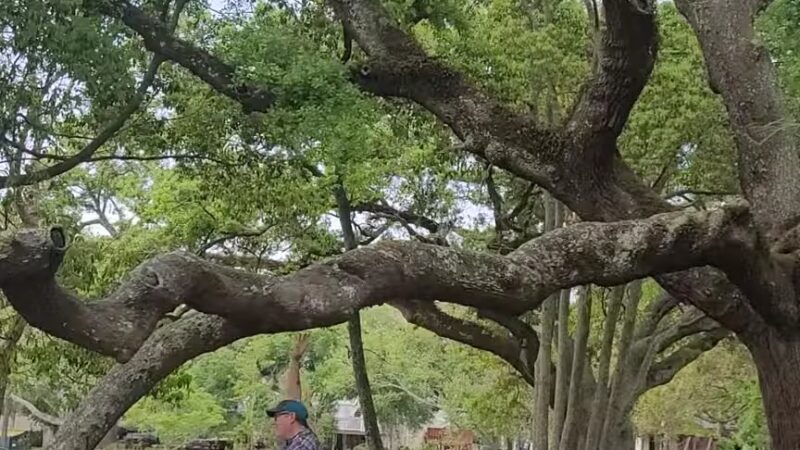 Pascagoula Beach Park - Pascagoula, MS