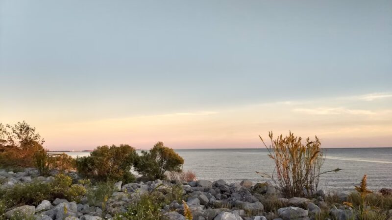 Point Park Pascagoula, MS - Pascagoula, MS