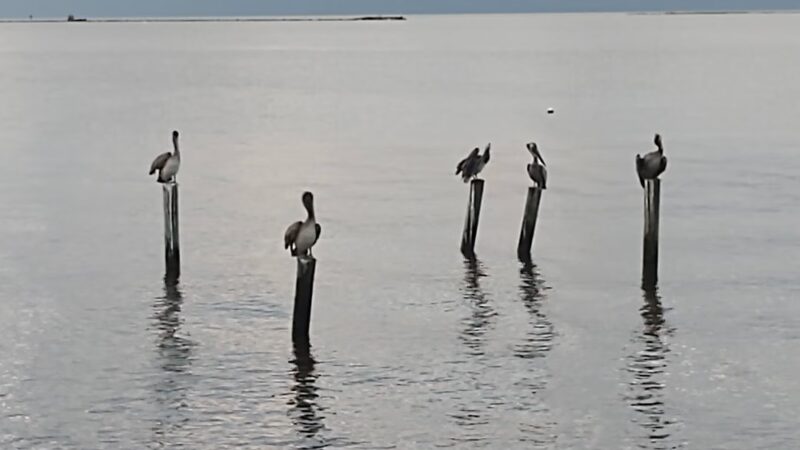 Point Park Pascagoula, MS - Pascagoula, MS