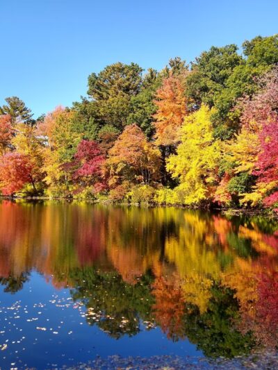 White Mill Park - Pascoag, RI