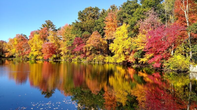 White Mill Park - Pascoag, RI