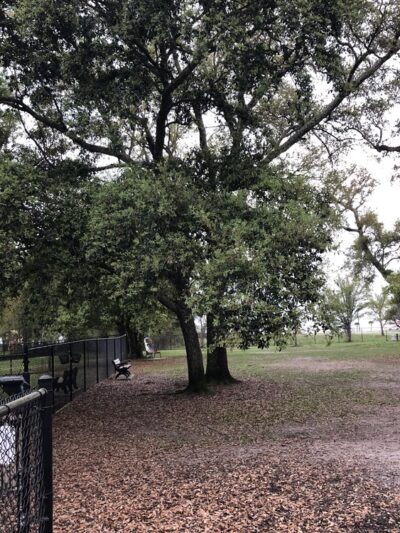 Trinity Dog Park - Pass Christian, MS