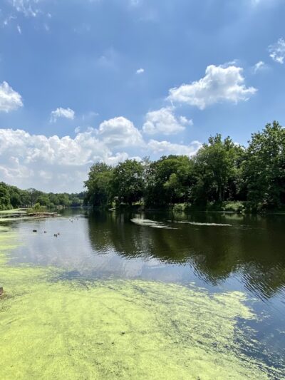 Westside Park - Paterson, NJ