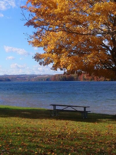 Muskrat Beach - Patton, PA