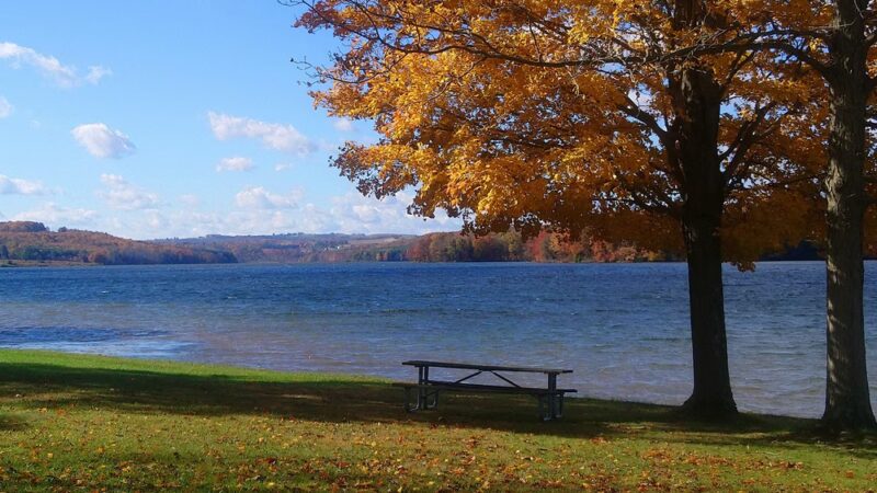 Muskrat Beach - Patton, PA