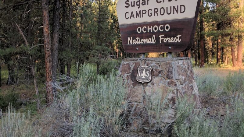 Sugar Creek Campground and Day Use Area - Paulina, OR