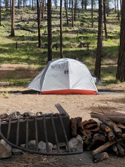 Sugar Creek Campground and Day Use Area - Paulina, OR