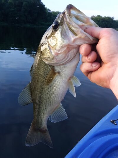 Mill Creek State Park - Paullina, IA