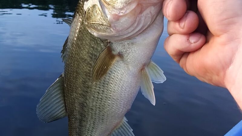 Mill Creek State Park - Paullina, IA