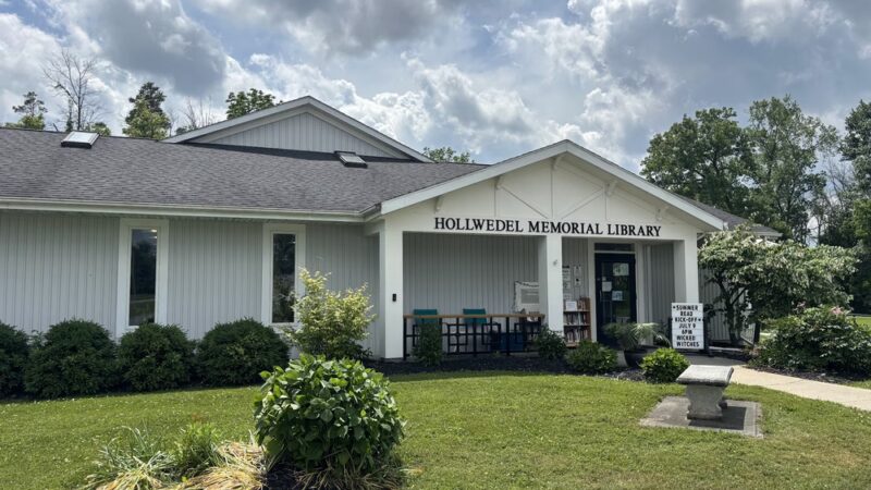 Hollwedel Memorial Library (formerly Pavilion Public Library) - Pavilion, NY